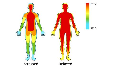 Peripheral Temperature Training Biofeedback Solutions Mind Media