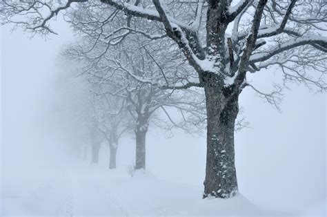 Foggy Snow Wallpapers 4k Hd Foggy Snow Backgrounds On Wallpaperbat
