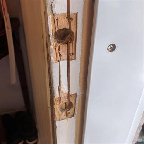 This is a guide about saving my broken cactus. We have fixed a broken kicked in residential door frame ...