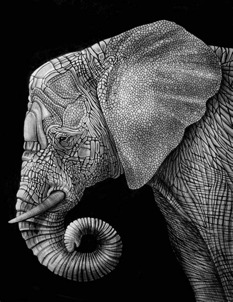 The 25 Best Elephant Illustration Ideas On Pinterest Simple Elephant