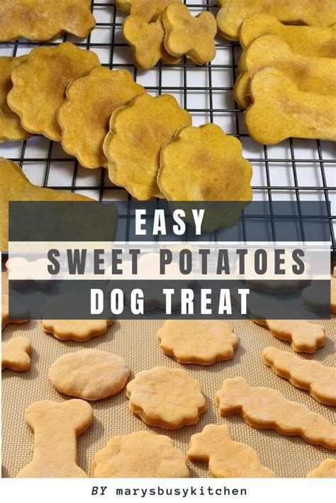 8 Sweet Potato Dog Treats Homemade