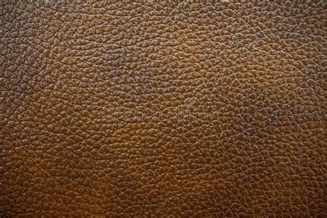 Sofa Leather Texture Seamless