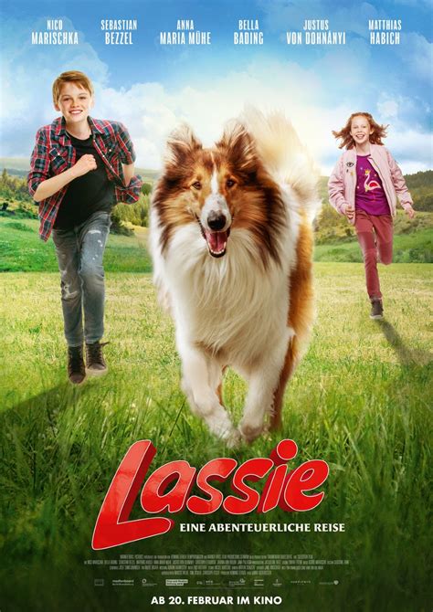 Lassie La Route De Laventure En Dvd Lassie Allociné