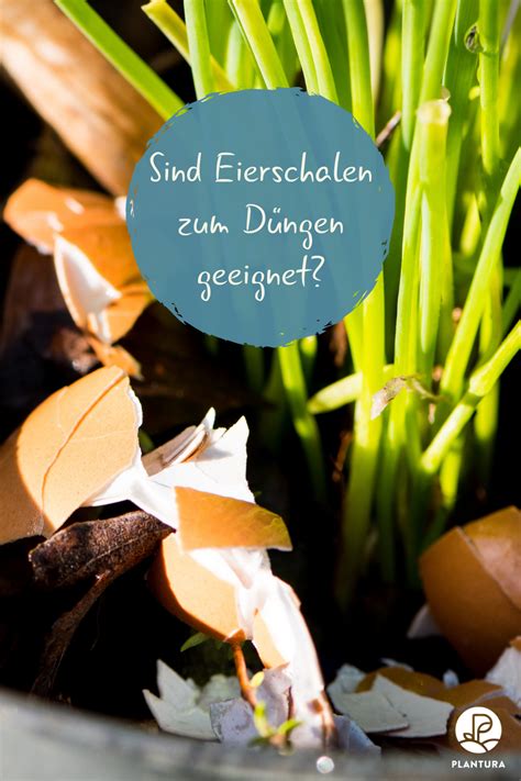 Was sollte sonst beim kalken des gartens beachtet werden? Pin auf Garten und co.