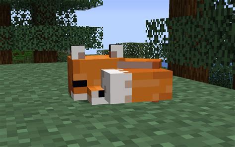 How To Make A Fox In Minecraft Sleep
