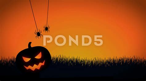 Download Halloween Pumpkin With Spiders And Webs On The Grass Wallpaper