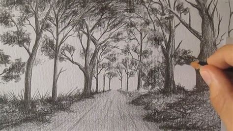 How to draw a rainforest. How to Draw a Landscape With Pencil Step by Step Timelapse ...