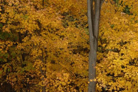 12 Wisconsin State Parks With The Best Fall Foliage Views