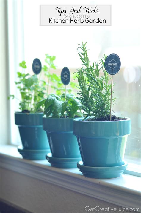 The fresh potted herbs that kitchen gardens grow include basil, oregano, dill, arugula, cilantro, mint, marjoram, parsley, rosemary, pepper, sage. Tips and Tricks to Maintaining an Indoor Kitchen Herb ...