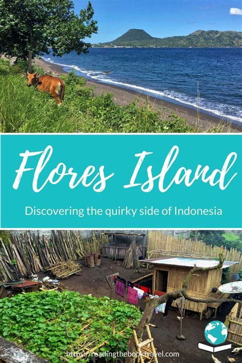 The Farmyard In Bajawa Adventures On Flores Indonesia Reading The Book Travel Indonesia