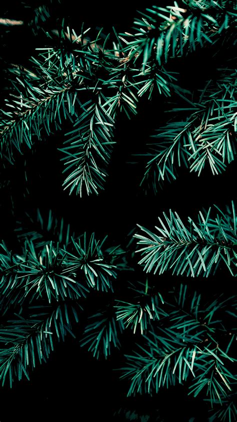 Find a hd wallpaper for your mac, windows, desktop or android device. Christmas vibe for Amoled display | Wallpaper iphone ...