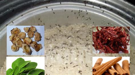 Simpan beras tanpa kutu dengan bumbu dapur rumahan. 8 Petua Terbukti Berkesan, Halau Kutu Beras Guna Bahan ...