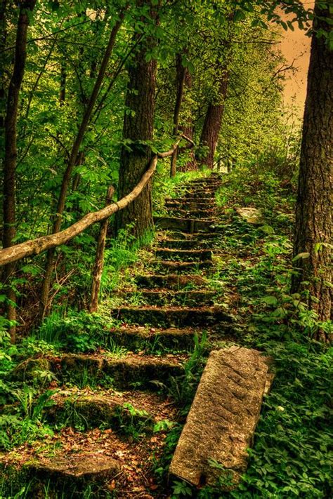 Staircase In The Woods Forest Path Nature Beautiful Nature