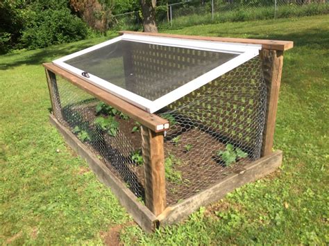 Whether you're using your fence to support a flowering vine or to trellis a vegetable like peas or cucumbers, chicken wire fencing saves growing space on the ground while letting climbing plants. 20 things to know about Vegetable garden fence chicken ...