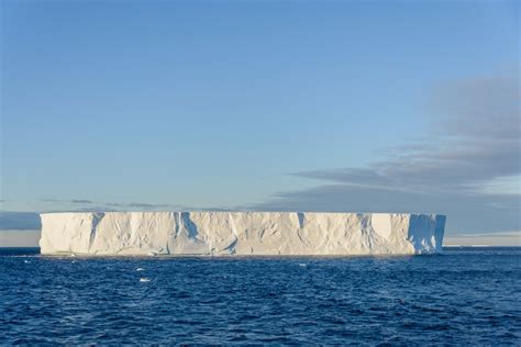 What Is An Iceberg Everything You Need To Know American Oceans 2023