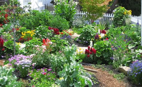 Fresh cut flowers, green and blooming plants, distinctive gifts, wedding reception rentals. Two Men and a Little Farm: INSPIRATION THURSDAY, A COTTAGE ...