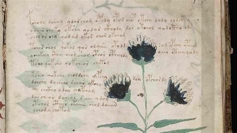 Accede desde tu ordenador, tablet y móvil. Manuscrito Voynich, el libro que nadie puede leer
