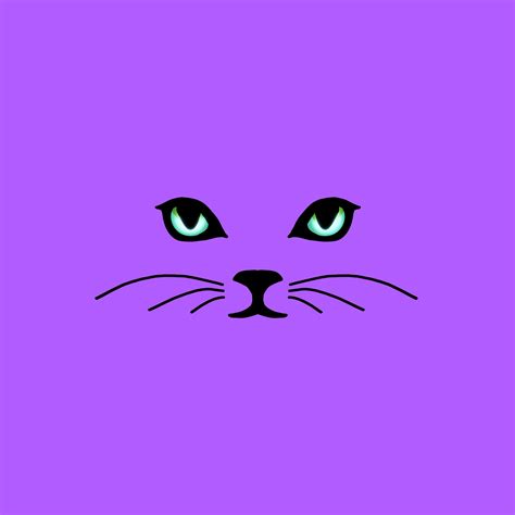 70 Free Purple Cat And Cat Images Pixabay