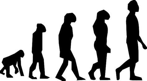Evolution Walking Charles Darwin · Free Vector Graphic On Pixabay
