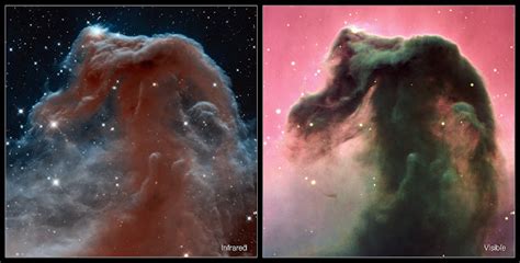 Friends Of Nasa The Horsehead Nebula Visible And Infrared Views Hubble