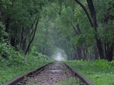 Photography is critical in the beauty industry so they also often have plenty of whitespace which showcases and frames photos. # Srimongol | Lawachara Forest | Rail line | Natural ...