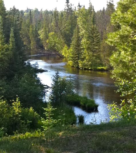 North Branch Of The Ausable River Lovells Michigan Michigan