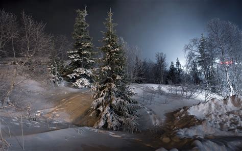 Snow Winter Landscape Night Hd Wallpaper