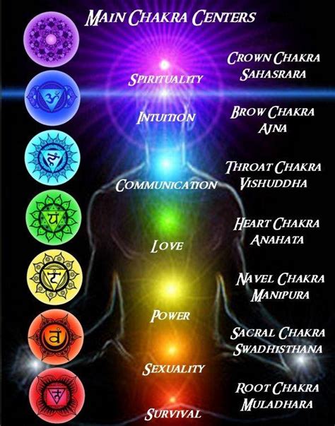 The Canvas Of Thoughts The Body Chakras