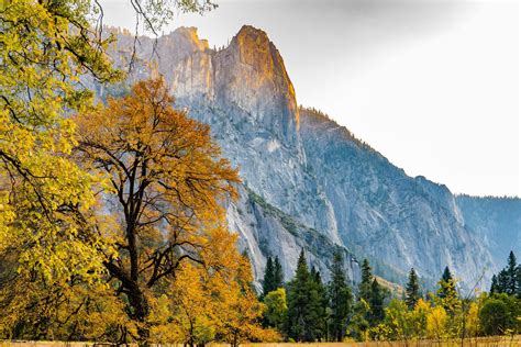 Fall Colors in Yosemite National Park - Travel Guide — Out Hiking