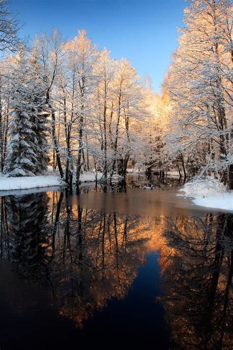 Winter River Golden Sunset Stock Image Image Of Landscape 16075739