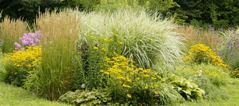 If you plan to travel this weekend, please stay. Texas Landscaping Plants: Landscape Designer Picks | Texas ...