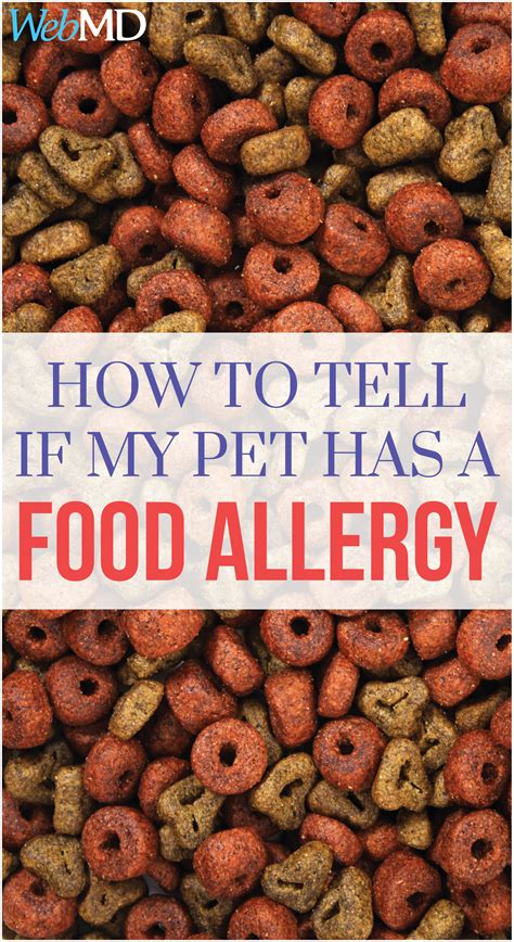 Homemade Dog Food For Severe Allergies Coleen Kohl