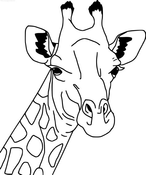 Coloriage à Imprimer Girafe 2