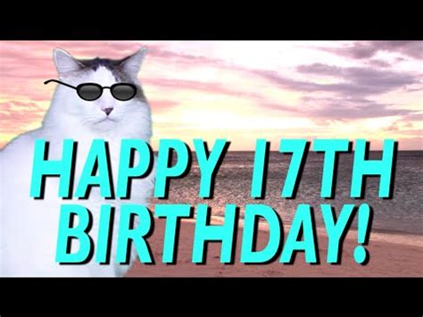 Happy 17th birthday wishes and funny messages for brother turning 17 or seventeen year old sister. HAPPY 17th BIRTHDAY! - EPIC CAT Happy Birthday Song - YouTube