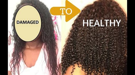 How I Repaired My Heat Damaged Hair Using 7 Steps Youtube