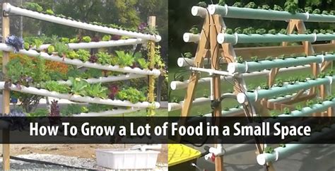 Believe me when i say that space is not an issue; Grow a Lot Of Food in a Small Space! 2 DIY Hydroponic ...
