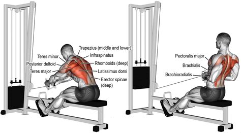 Top 10 Back Exercises For Building Width And Thickness Fitness Volt