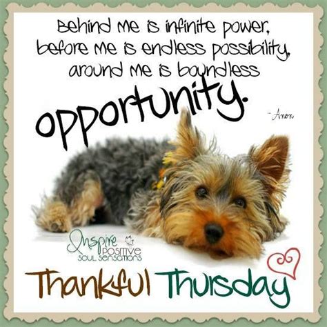 Thankful Thursday Inspirational Quote Pictures Photos And Images For