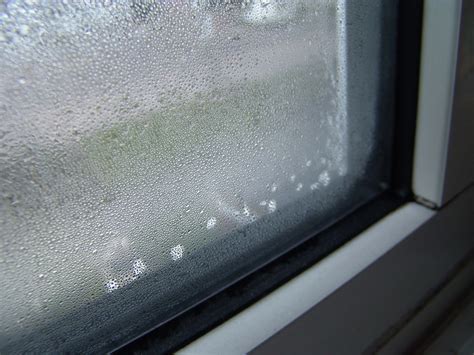 What causes condensation on the outside of the windows? On Condensation Management - Earth Notes