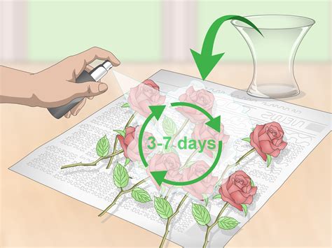 How to preserve dried flowers without hairspray. How to Preserve Flowers with Hairspray: 14 Steps (with ...