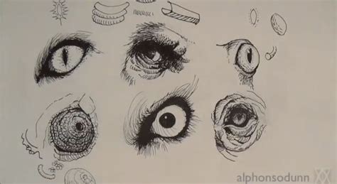 In real life, we sometimes close our eyes which helps. How To Draw Animal Eyes - Video - Draw Central | Ink pen drawings, Realistic drawings, Animal ...