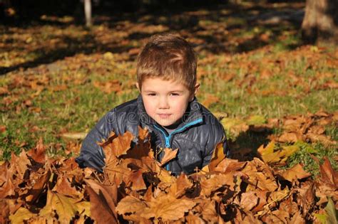 Boy In The Leaves Of Autumn Stock Photo Image Of Park Friendship