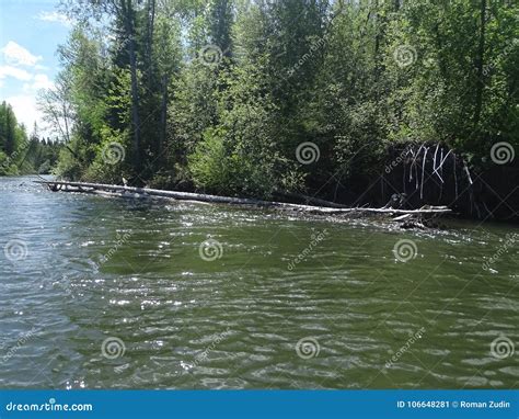 Russia The Journey To Siberia Summer Stock Image Image Of Agul