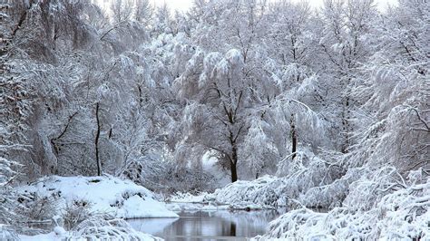 1920x1080 1920x1080 Winter Trees River Snow Coolwallpapersme