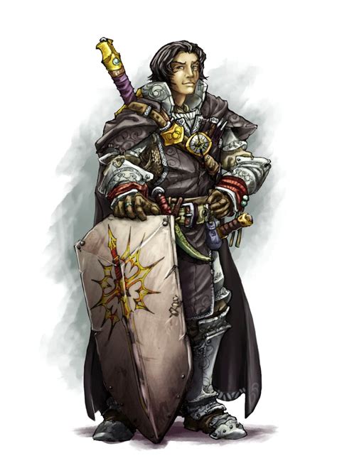 Male Human Paladin Of Iomedae Pathfinder Pfrpg Dnd Dandd 35 5e 5th Ed