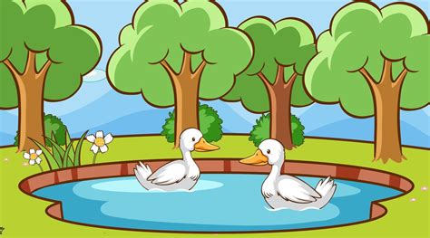 Scene With Ducks In The Pond 1235275 Download Free