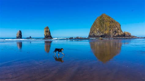 15 Things To Do Along The Oregon Coast