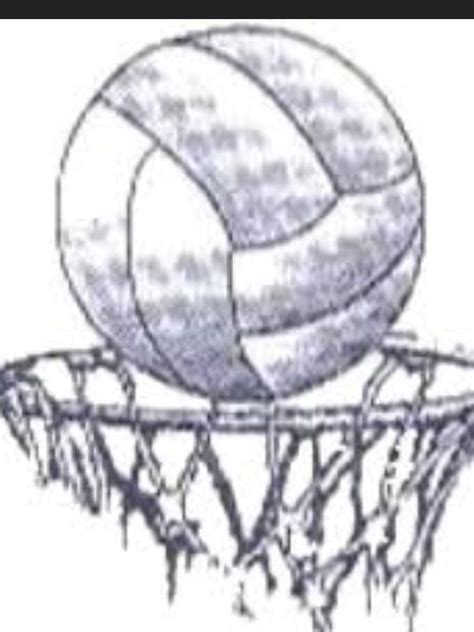 Netball Netball Netball Games Ball Drawing