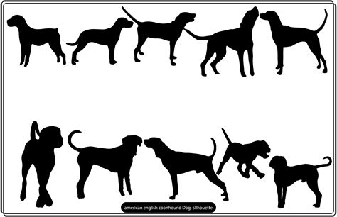 American English Coonhound Dog Vector Illustration Par Uniquedesign
