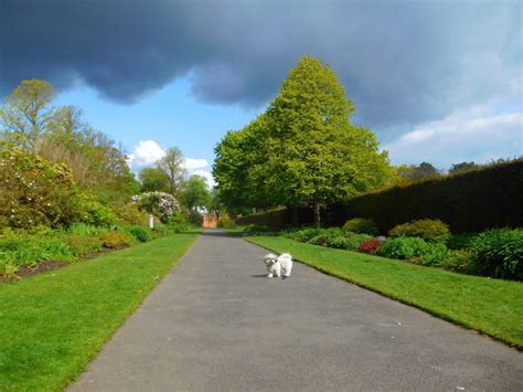 Botanic Gardens Belfast An Eventful History Belfast Entries